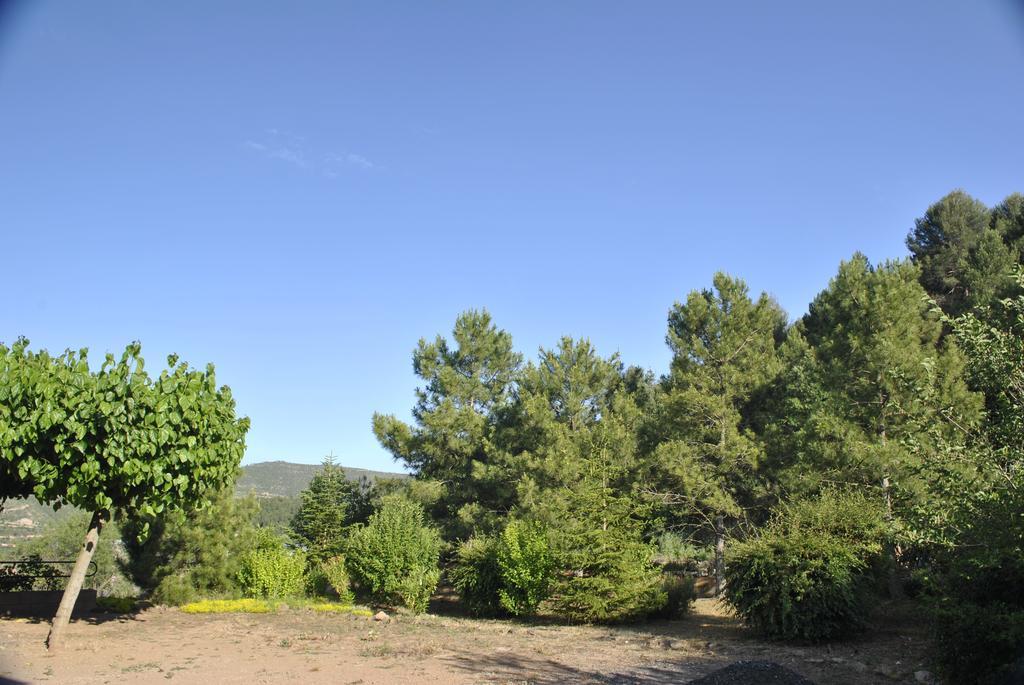 Hostal El Violi Cardona Exteriér fotografie